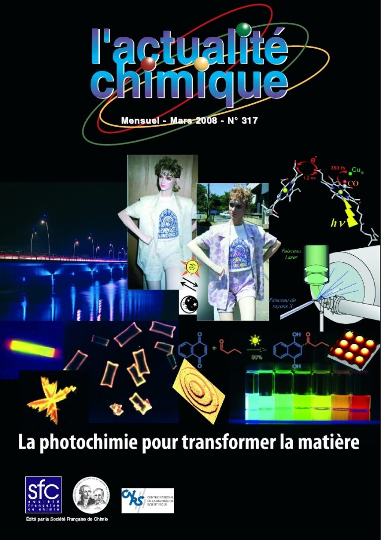 Photochimie supramoléculaire quand le calcul et le mouvement passent